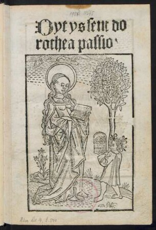 Dyt ys sent do||rothea passio ||