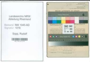 Entnazifizierung Rudolf Sopp , geb. 04.03.1910 (Angestellter)