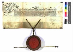 Kaiser Maximilian II. belehnt den Schenken Heinrich mit dem Erbschenkenamt.