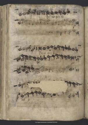 Walter, Johann; Verdelot, Philippe: Deus qui sedes. Arr