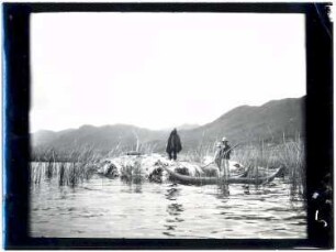 Totora-Ernte im Titicacasee bei Desaguadero
