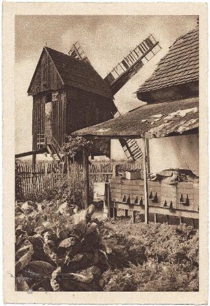 Dahlen-Bortewitz. Bockmühle, Ansichtskarte