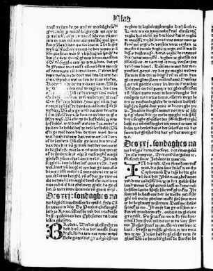 Des xxi sondaghes na der hilghe[n] drevoldicheit