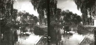 Seifhennersdorf. Das großen Wehr in der Mandau