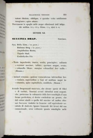 Genere XII. Succinea Drap.