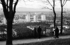 Freiburg: Blick vom Lorettoberg auf Hochhäuser und Kaiserstuhl