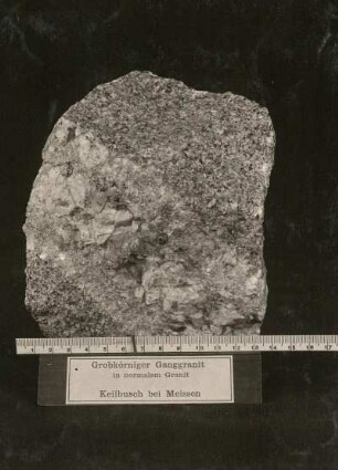 Grobkörniger Gangranit in normalem Granit. Keilbusch bei Meißen. Dresden: Museum für Mineralogie und Geologie