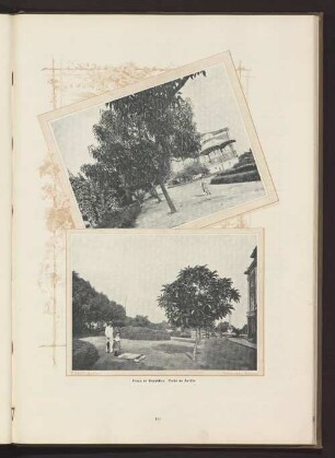 Praça da Republica. Parte do Jardim