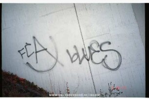 FCA bLUES