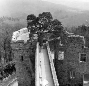 Auerbacher Schloss (Burgruine); Bensheim, Außerhalb (Auerbach) 2, Burg- und Schloßwald, Auerbacher Schloß