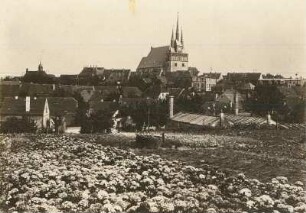 Lommatzsch. Blick nach Südosten