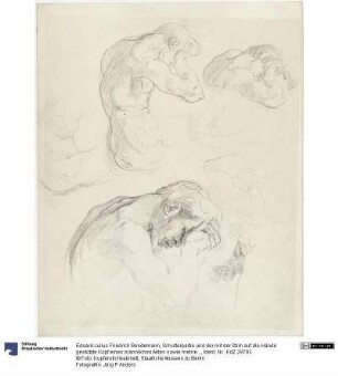 Schulterpartie und der mit der Stirn auf die Hände gestützte Kopf eines männliches Aktes sowie mehrere Skizzen zum selben Motiv (Studie zu "Der Tod Abels")