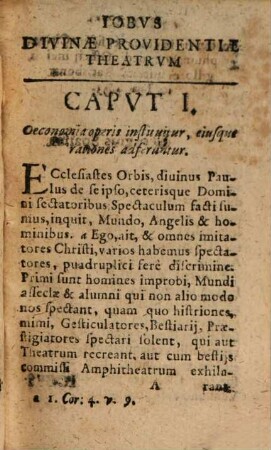 Jobus Divinae Providentiae Theatrum