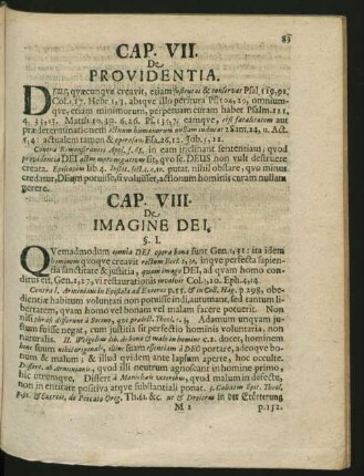 Cap. VIII. De Imagine Dei