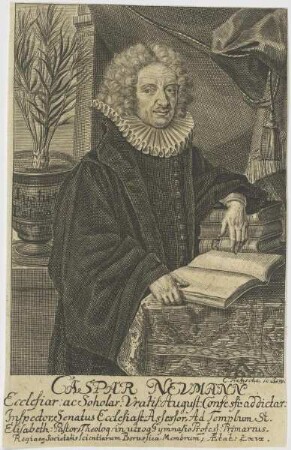 Bildnis des Caspar Nevmann