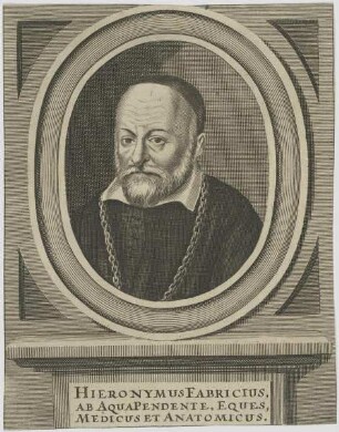 Bildnis des Hieronymus Fabricius, ab Aquapendente