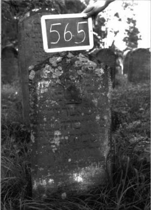 Grabstein 565 (Index: 100102498) Material: Sandstein Zustand: stark verwittert, teilweiser Textverlust Maße HxBxT: 87x42x9 cm Beschreibung: Stele, Konvexbogenabschluss, Schriftfeld eingetieft, Levitenkanne Symbolik: Levitenkanne: Grabstein 565