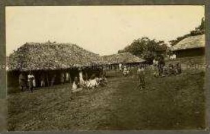 Afrikaner in einer Siedlung länglicher Hüttenbauten