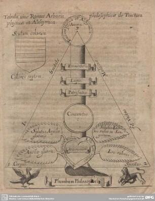 Tabula sive Ramus Arboris philosophicae de Tinctura physica et Alchymica.
