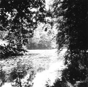 Neuhausen. Landschaftspark von Norden. Schlossteich