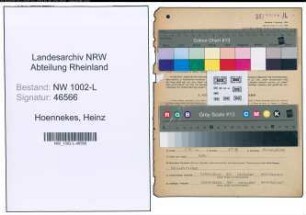 Entnazifizierung Heinz Hoennekes , geb. 31.05.1910 (Rechtsanwalt)