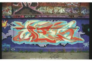 oLEES Steve
