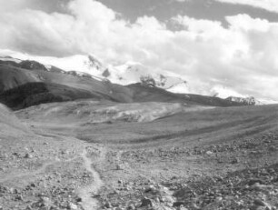 Indien. Kashmir. Ladakh. Aghil-Karakorum. Auf dem Dapsang-Plateau (5400 m)