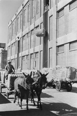 Reisefotos. Straßenszene vor einem Speichergebäude im arabischen Raum (wahrscheinlich in einem Hafen). Ansicht mit Eselsfuhrwerk