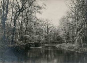 Elster-Luppe Regulierung, Luppenaue, Uferzerstörung nahe der Luppenbrücke zwischen Waldkater und Gr. Dölzig