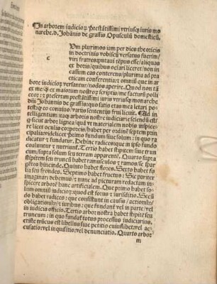 [In arborem iudiciariam Joannis de Grassis scriptum domesticum.]