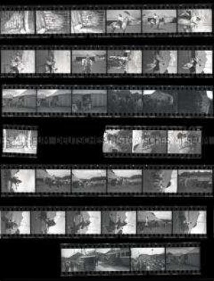 Schwarz-Weiß-Negative mit Aufnahmen vom Zirkus Brumbach auf Tournee im niedersächsischen Syke (Ilona Brumbach zu Pferde, Löwe im Käfigwagen, Besucherandrang, etc)