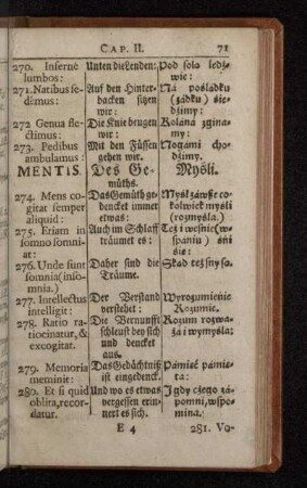 Mentis.