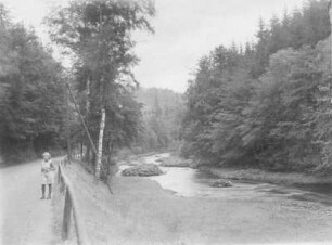 Höckendorf-Edle Krone. Durchbruchstal der Wilden Weißeritz