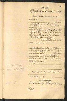 Standesamtsbuch der Stadt Aschaffenburg: Geburten 365/1900 - 184/1901