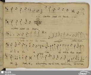 [36.] Anonymus: Justorum animae [incpl.]