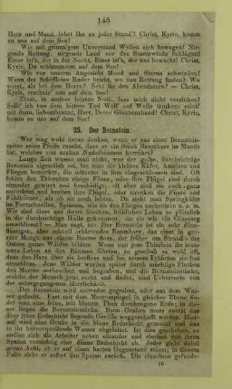 25. Der Bernstein