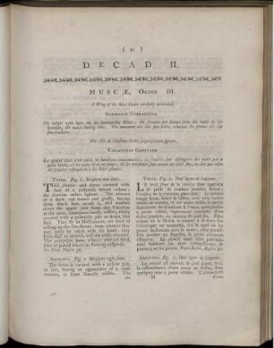 Decad. II. Muscæ, Order III.
