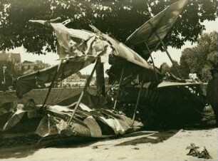 Zerstörtes deutsches Flugzeug bei Altkirch, Haut-Rhin