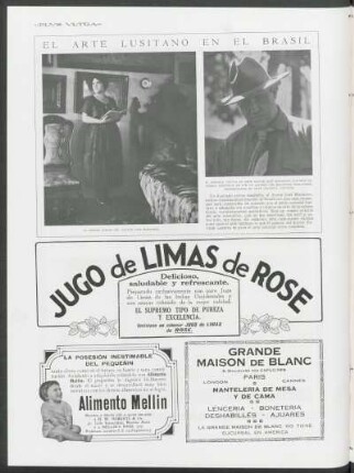 El arte lusitano en el Brasil