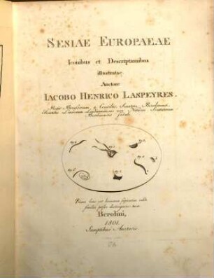 Sesiae Europeae : iconibus et descriptionibus illustrata