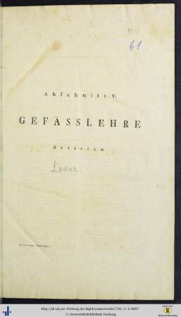 Abschnitt V. Gefäßlehre. Arterien.