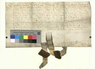 Kurfürst Georg Wilhelm, Markgraf von Brandenburg, bestätigt der Stadt Bernau ihre Rechte und Freiheiten.