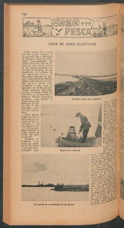 Caza de aves acuáticas : Caza y pesca
