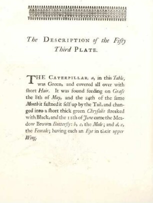 The Description of the Fifty Third Plate