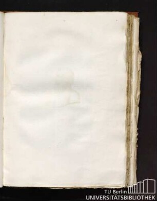 Vitruvius