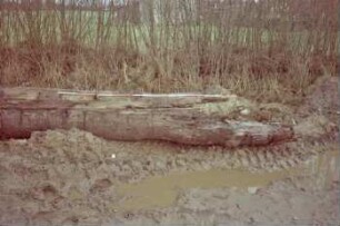 Moorweg: bei Durchlass Alte Alster: Fundstück Rohrleitung aus Holz, nach Bergung: Teilansicht, längs darauf Zollstock zum Größenvergleich, rechts Abriss-Ende