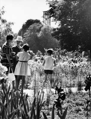Hamburg. Internationale Gartenbauausstellung vom 26.04. - 13.10.1963 auf dem Gelände von Planten un Blomen. Besucher betrachten die bepflanzten Beete.