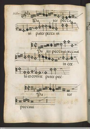 Adrianus Willart : Pater peccavi