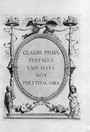 CLASSIS PRIMA TESTACEA VNIVALVIA NON POLYTHALAMIA