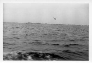 Urlaubsreise. Auf der Ostsee